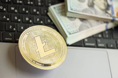 KYIV, UKRAINE - 17 AĞUSTOS 2024 Litecoin LTC madeni para ve dizüstü bilgisayarda yüklü miktarda Amerikan doları.