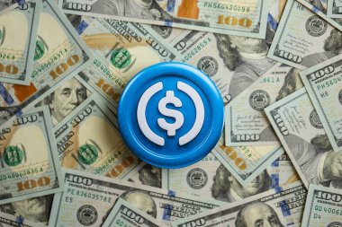KYIV, UKRAINE - 17 AĞUSTOS 2024 USDC 100 ABD Doları tutarında sabit para