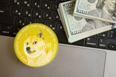 KYIV, UKRAINE - 17 AĞUSTOS 2024 DOGE Meme madeni parası ve dizüstü bilgisayarda yüklü miktarda Amerikan doları.