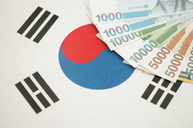 Güney Kore büyük miktarlarda para kazandı. Güney Kore bayrağına yakın duruyor. Finans ve bankacılık kavramı