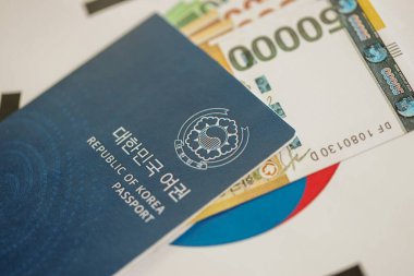 Güney Kore büyük miktarda para kazandı ve pasaport Güney Kore bayrağına yakın duruyor. Finans ve bankacılık kavramı