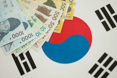 Güney Kore büyük miktarlarda para kazandı. Güney Kore bayrağına yakın duruyor. Finans ve bankacılık kavramı