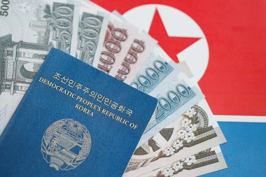 Kuzey Kore büyük miktarlarda para kazandı ve pasaport Kore Halk Cumhuriyeti bayrağına yakın duruyor. Finans ve bankacılık kavramı