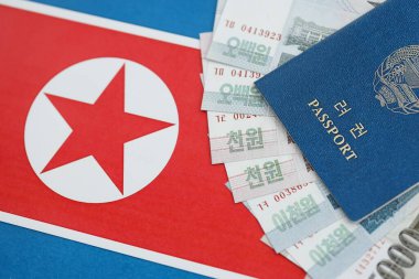 Kuzey Kore büyük miktarlarda para kazandı ve pasaport Kore Halk Cumhuriyeti bayrağına yakın duruyor. Finans ve bankacılık kavramı