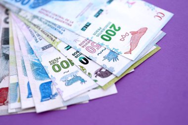 Arjantin pezosu büyük miktarda para mor renkli masaya yakın duruyor. Finans ve bankacılık kavramı