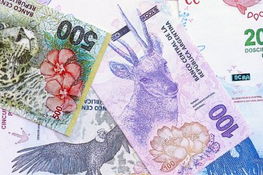 Arjantin pezosu büyük miktarlarda para beyaz masada yakın planda yatıyor. Finans ve bankacılık kavramı