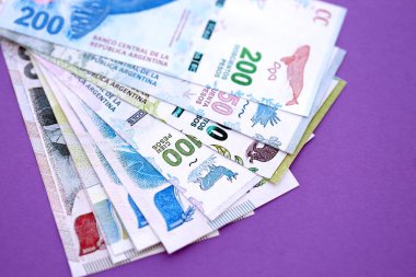 Arjantin pezosu büyük miktarda para mor renkli masaya yakın duruyor. Finans ve bankacılık kavramı