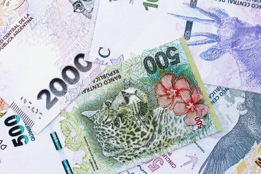 Arjantin pezosu büyük miktarlarda para beyaz masada yakın planda yatıyor. Finans ve bankacılık kavramı