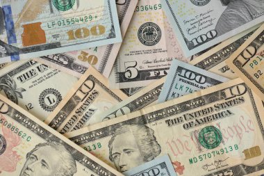Bir yığın para. Yüz, elli, yirmi, on, beş dolarlık banknot. Yakın görüş.