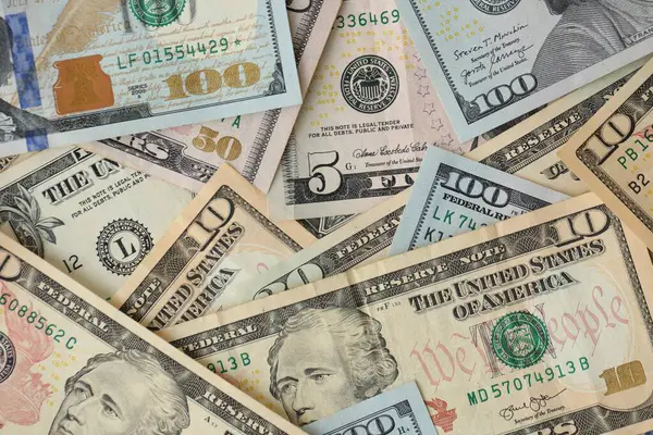 Bir yığın para. Yüz, elli, yirmi, on, beş dolarlık banknot. Yakın görüş.