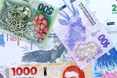Arjantin pezosu büyük miktarlarda para beyaz masada yakın planda yatıyor. Finans ve bankacılık kavramı