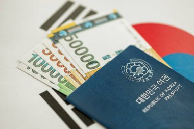 Güney Kore büyük miktarda para kazandı ve pasaport Güney Kore bayrağına yakın duruyor. Finans ve bankacılık kavramı