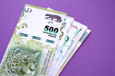 Arjantin pezosu büyük miktarda para mor renkli masaya yakın duruyor. Finans ve bankacılık kavramı