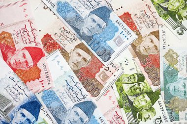 Pakistan banknotları. Pakistan 'ın mevcut para faturaları büyük miktarda masada yatıyor. Pakistan 'da iş ve yatırım kavramı