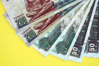 Mısır 'a ait para banknotları sarıya çok yakın. Finans ve bankacılık kavramı
