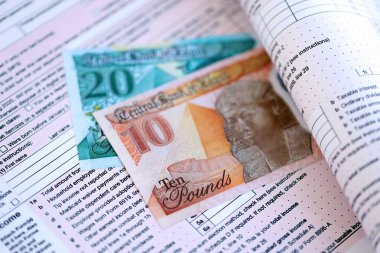 Vergi formunda Mısır 'a ait para faturaları. Vergi ve muhasebe kavramı