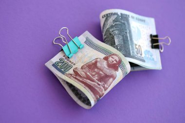 Mısır 'a ait para banknotları mora çok yakın. Finans ve bankacılık kavramı