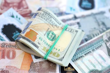 Mısır para birimi banknotları ve biz dolar banknotları yakın çekim. Ekonomi ve döviz kuru kavramı