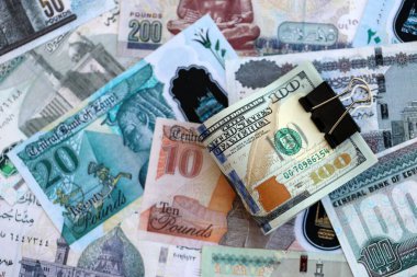 Mısır para birimi banknotları ve biz dolar banknotları yakın çekim. Ekonomi ve döviz kuru kavramı