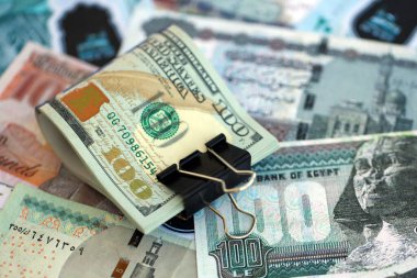 Mısır para birimi banknotları ve biz dolar banknotları yakın çekim. Ekonomi ve döviz kuru kavramı