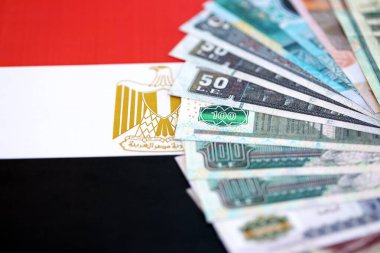 Mısır para birimi banknotları bayrağın üzerinde duruyor. İş ve yatırım kavramı