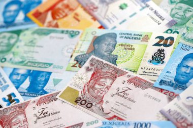 Nijerya naira para birimi faturaları. Mevcut banknotlar masanın üzerinde büyük miktarda yatıyor.