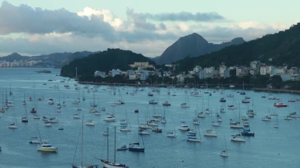 Vista Aérea Bela Baía Rio Janeiro Iates Oceano Pão Açúcar — Vídeo de Stock