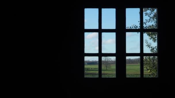 暗い部屋 窓の景色と緑の木々 草と青空と裏庭 — ストック動画