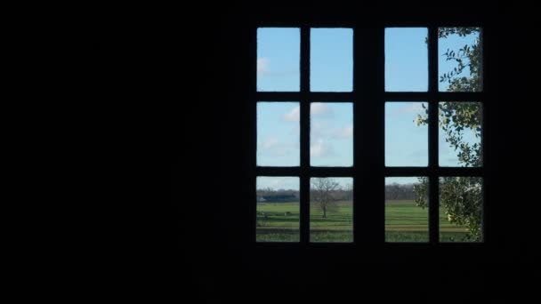 Karanlık Oda Pencere Manzarası Arka Bahçesi Yeşil Ağaçlar Çimenler Mavi — Stok video