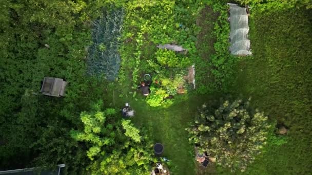 Vzdušný Pohled Ženu Zahradničení Jejím Dvorku — Stock video
