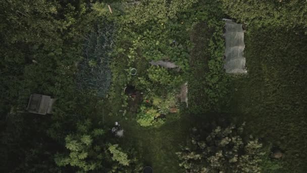 Pemandangan Udara Dari Seorang Wanita Berkebun Halaman Belakang Rumahnya — Stok Video