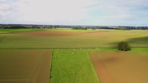法国西北部农村的农场 高质量的视频 — 图库视频影像