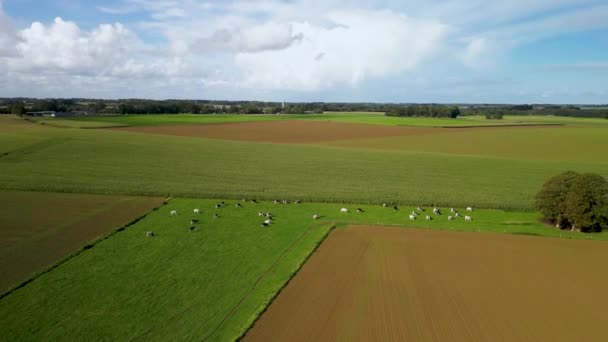 Fransa Nın Kuzeybatısındaki Kırsal Kesimlerde Tarım Çiftlikleri Yüksek Kaliteli Video — Stok video