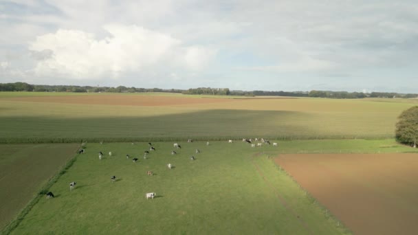 Aziende Agricole Nelle Campagne Del Nord Ovest Della Francia Video — Video Stock
