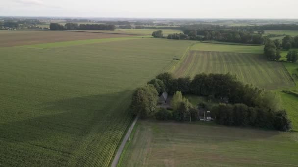 Drone Εναέρια Βίντεο Βίντεο Αγροκτήματα Γεωργίας Στην Ύπαιθρο Της Βορειοδυτικής — Αρχείο Βίντεο