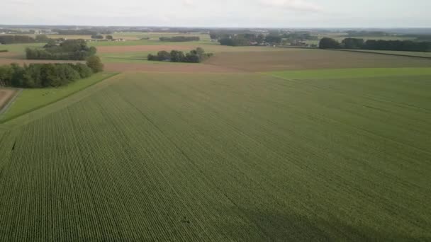 Drone Luchtvideobeelden Landbouwbedrijven Het Platteland Van Noordwest Frankrijk — Stockvideo