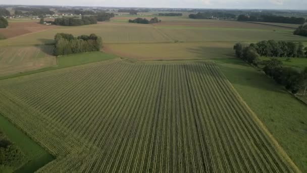 Drone Aerial Video Footage Agriculture Farms Countryside Northwest France — Stock Video
