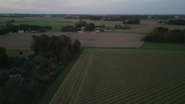 프랑스 북서부 시골의 — 비디오