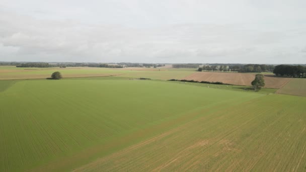 Imagens Aéreas Drones Fazendas Agrícolas Interior Noroeste França — Vídeo de Stock