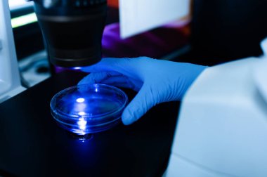 Üretim hattı ilaç endüstrisi. İlaç, ilaç ve ilaç imalatı, ilaç. Teknisyen ve bilim adamı bir laboratuarda çalışıyor.