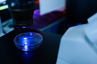 Üretim hattı ilaç endüstrisi. İlaç, ilaç ve ilaç imalatı, ilaç. Teknisyen ve bilim adamı bir laboratuarda çalışıyor.