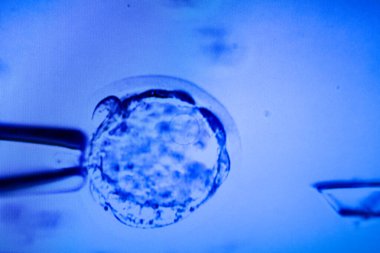 Üretim hattı ilaç endüstrisi. İlaç, ilaç ve ilaç imalatı, ilaç. Teknisyen ve bilim adamı bir laboratuarda çalışıyor.