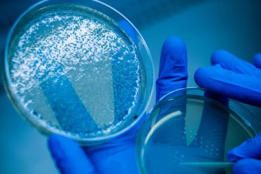 Üretim hattı ilaç endüstrisi. İlaç, ilaç ve ilaç imalatı, ilaç. Teknisyen ve bilim adamı bir laboratuarda çalışıyor.