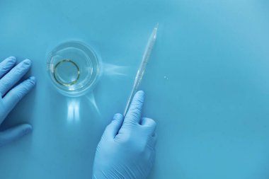 Üretim hattı ilaç endüstrisi. İlaç, ilaç ve ilaç imalatı, ilaç. Laboratuvar