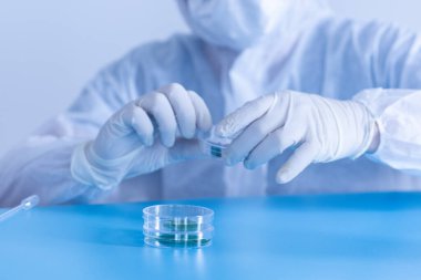 Üretim hattı ilaç endüstrisi. İlaç, ilaç ve ilaç imalatı, ilaç. Laboratuvar Petri kabı şeffaf biyoloji tesisi yeşil mavi arkaplan