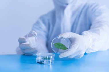 Üretim hattı ilaç endüstrisi. İlaç, ilaç ve ilaç imalatı, ilaç. Laboratuvar Petri kabı şeffaf biyoloji tesisi yeşil mavi arkaplan