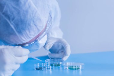 Üretim hattı ilaç endüstrisi. İlaç, ilaç ve ilaç imalatı, ilaç. Laboratuvar Petri kabı şeffaf biyoloji tesisi yeşil mavi arkaplan