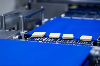 Mozzarella peynir fabrikası. Mozzarella peynir endüstrisindeki sahneler - endüstriyel kompleks. 