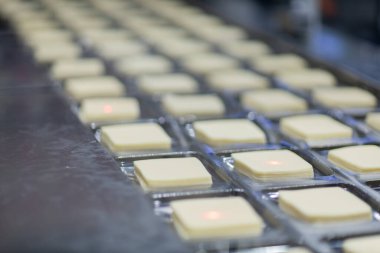 Mozzarella peynir fabrikası. Mozzarella peynir endüstrisindeki sahneler - endüstriyel kompleks. 