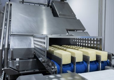 Mozzarella peynir fabrikası. Mozzarella peynir endüstrisindeki sahneler - endüstriyel kompleks. 